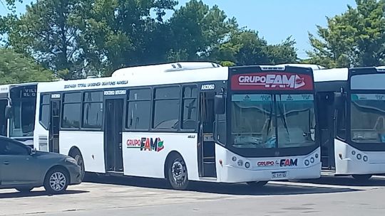 704316-transporte-urbano-en-cordoba-las-frecuencias-del-grupo-fam-no-son-las-esperadas
