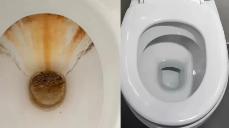 Ni vinagre, ni bicarbonato: la mejor forma de sacar el sarro de las canillas y del inodoro