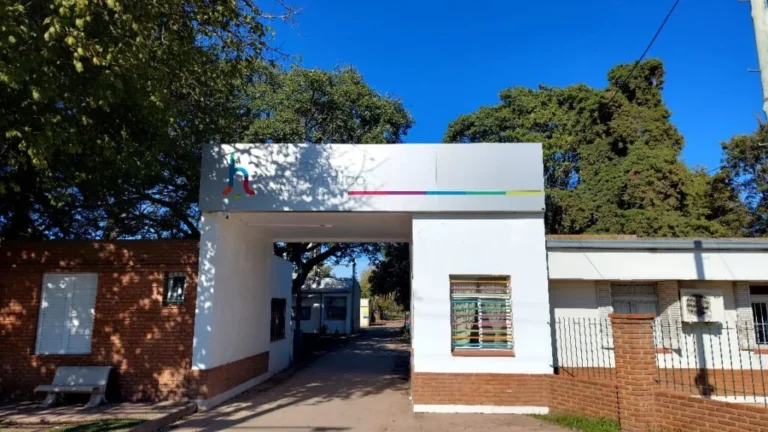 Tragedia y conmoción en Monte Vera: murió un hombre tras ser atacado por un gigantesco enjambre de abejas