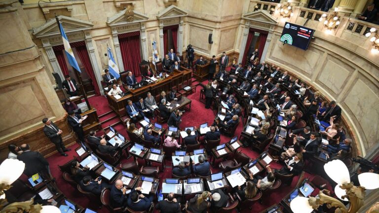 Vetos de financiamiento universitario y emergencia pediátrica: cómo votaron los senadores santafesinos