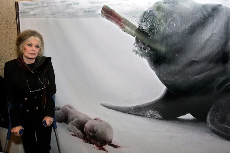 A los 91 años, Brigitte Bardot está hospitalizada por una enfermedad grave, según publica la prensa francesa