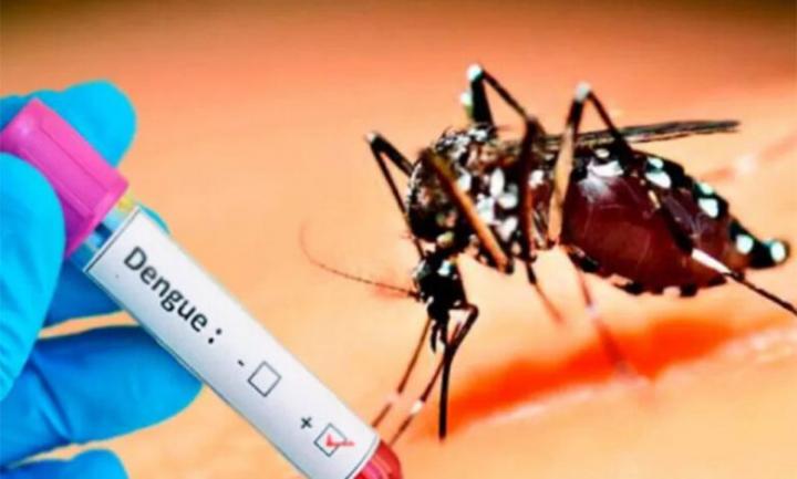 2295361-dengue-detectan-la-presencia-del-mosquito-en-16-barrios
