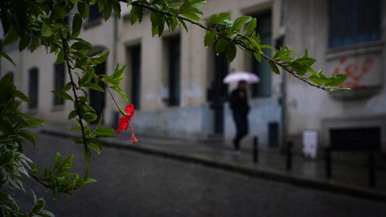 El tiempo en Rosario: martes con alerta amarillo por tormentas fuertes
