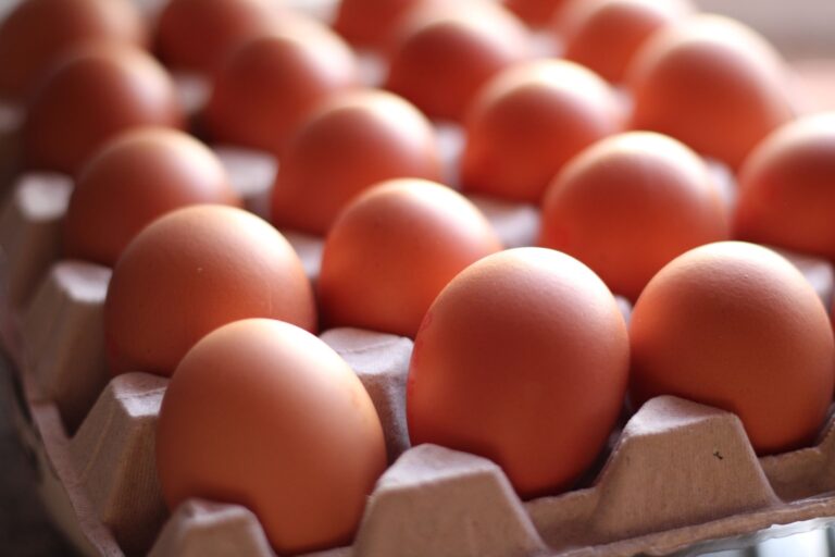 Ni frito ni revuelto: la forma correcta de cocinar el huevo para aprovechar al máximo todas sus proteínas