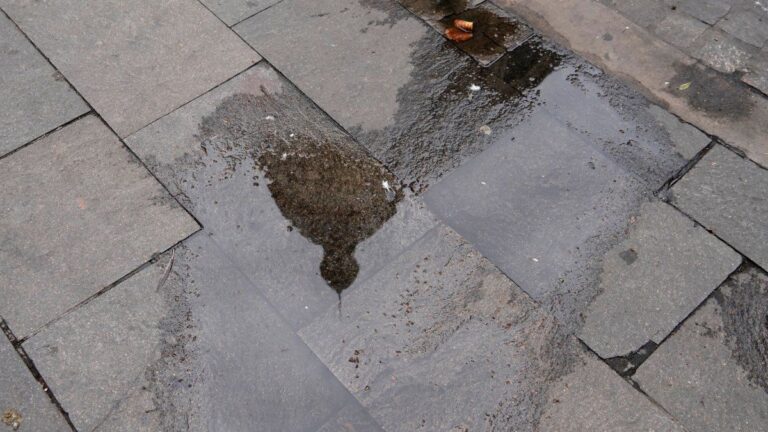 El tiempo en Rosario: lunes más fresco y con algunas chances de lluvias aisladas