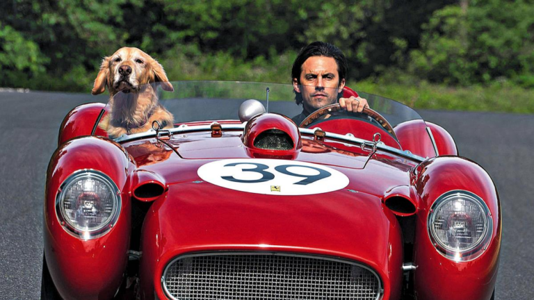 Netflix: la conmovedora película sobre un perro y una familia que te va a hacer llorar