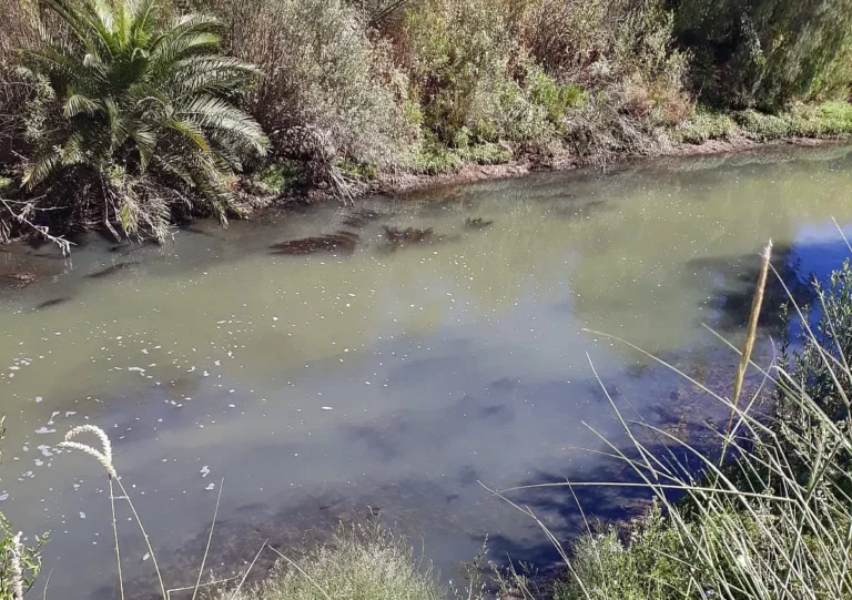 Otra vez y van vecinos de Fisherton denunciaron que el arroyo Ludueña luce y huele como una cloaca