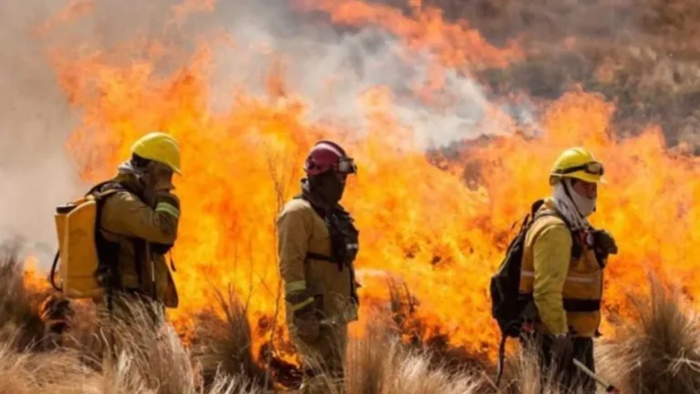 En medio de la emergencia por los incendios en la Patagonia, acusan al gobierno de Milei de desfinanciar el Servicio Nacional del Manejo del Fuego