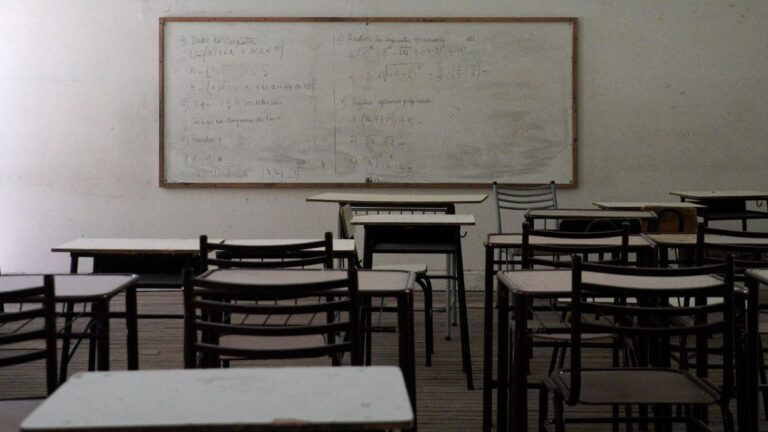 Santa Fe y el desafío demográfico: proyectan caída del 24,5% de la matrícula primaria para 2030