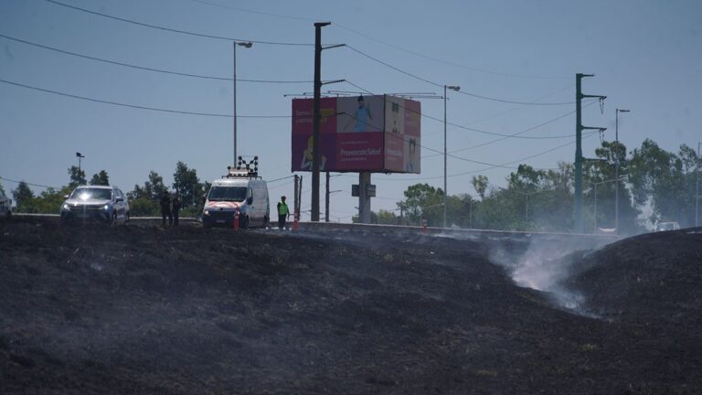 Incendios de pastizales: los bomberos tuvieron más intervenciones que en enero del año pasado