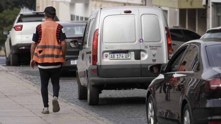 Cuidacoches: exigen una ley provincial para erradicar la actividad en Santa Fe