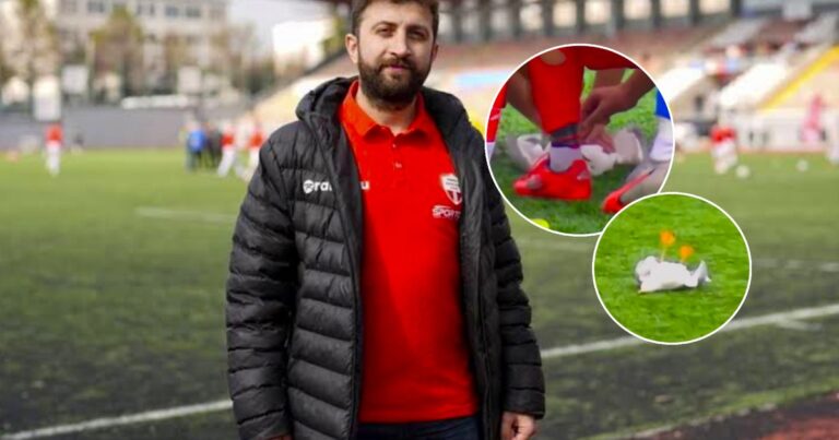 Le hizo RCP a una gaviota en pleno partido: «Estoy del lado de los animales»