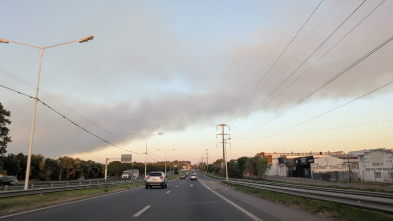 Mientras Rosario sufre otra vez el humo, Santa Fe coordina un plan conjunto para prevenir incendios