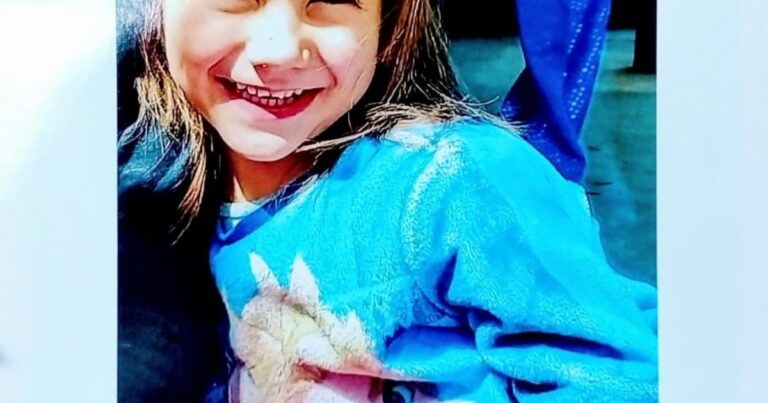 La Justicia de Mendoza emitió un alerta para encontrar una nena de 7 años: creen que la madre se la llevó a Buenos Aires en medio de un conflicto familiar