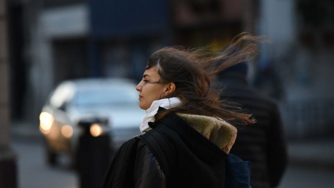 Vista panorámica de Rosario con cielo parcialmente nublado y árboles movidos por el viento