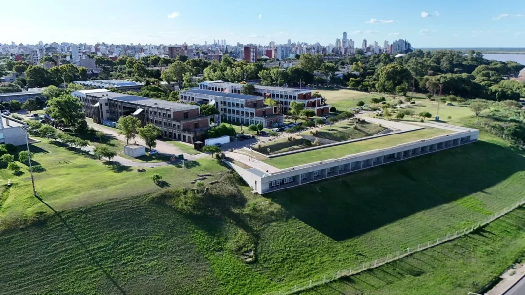 Arquitecta analizando planos urbanos junto a un parque con vegetación diversa.