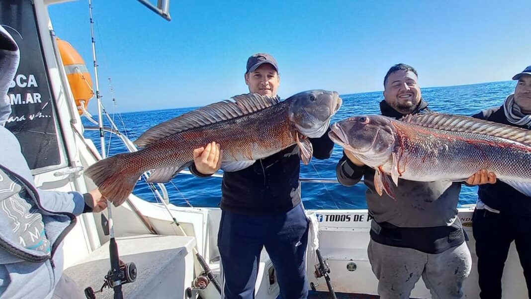 Embarcación de pesca deportiva en el mar, con pescadores realizando una excursión.