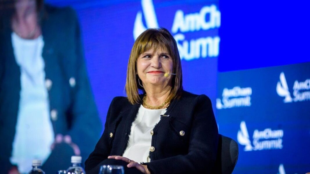 Senadora Patricia Bullrich en el Senado