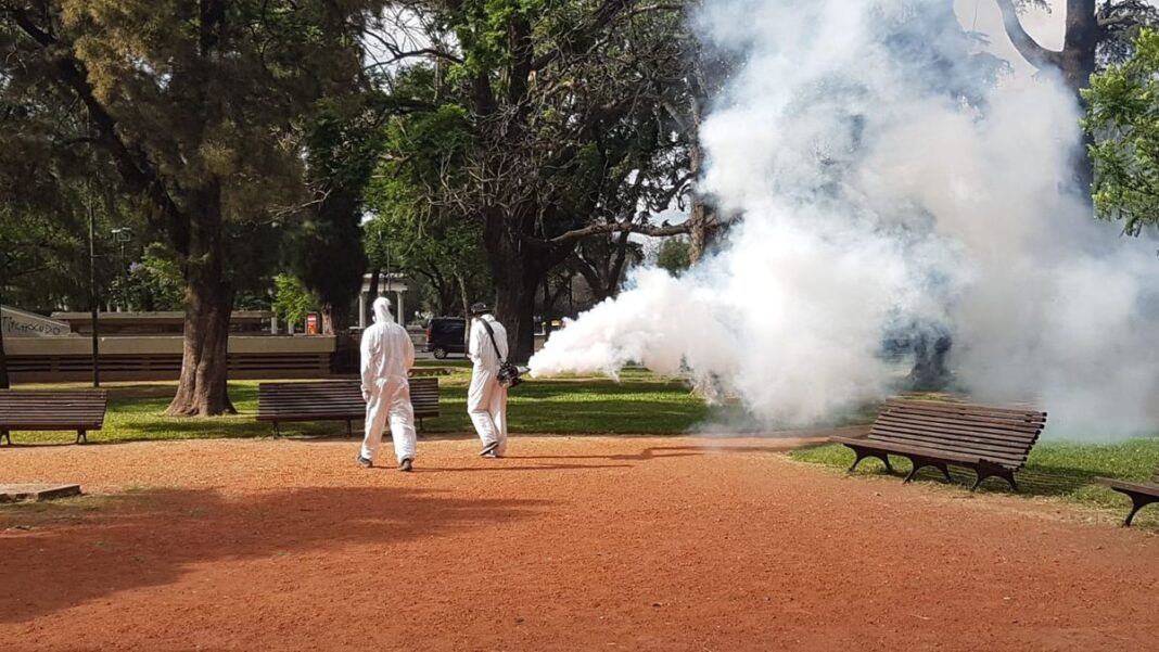 Mosquitos en un parque de Rosario, especie culex y charquero
