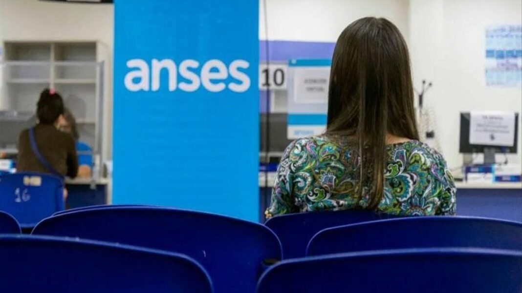 Persona revisando documentos de ANSES en una oficina
