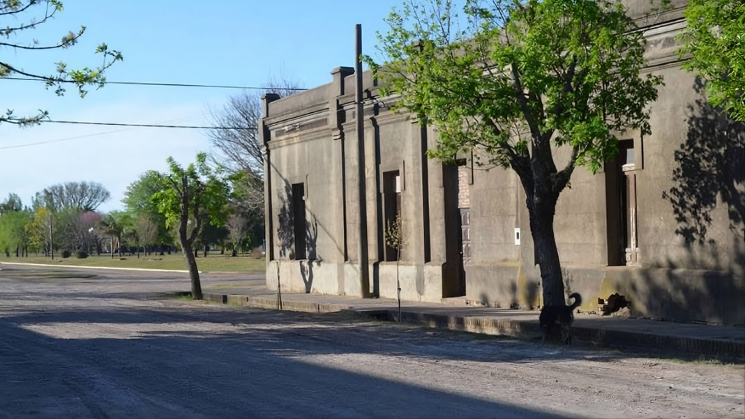 Imagen ilustrativa de un toro en un campo de la provincia de Santa Fe