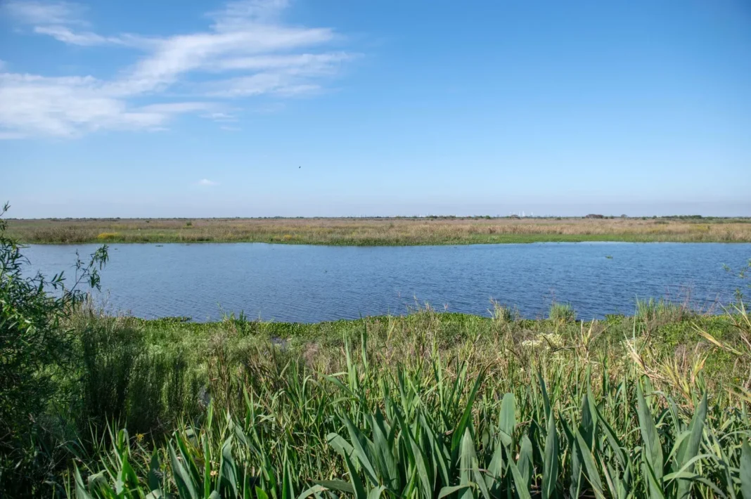 Vista de las islas del Paraná en el sector del Legado Deliot, en Rosario