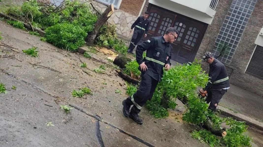 Calle anegada en Rosario durante el temporal con árboles caídos y alerta amarillo del SMN